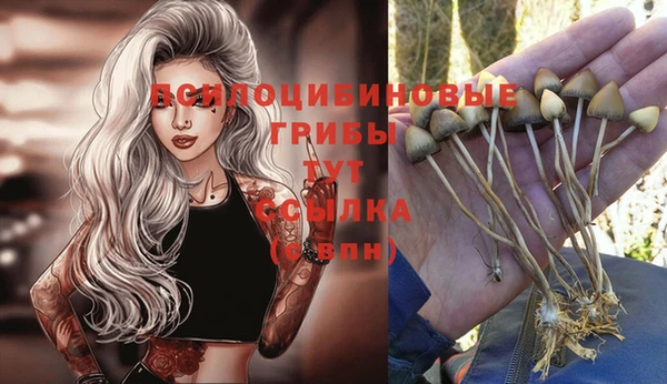 МДПВ Гусь-Хрустальный