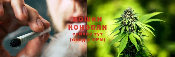 ПСИЛОЦИБИНОВЫЕ ГРИБЫ Гусиноозёрск