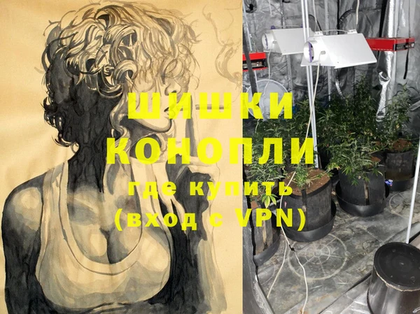 PSILOCYBIN Горнозаводск