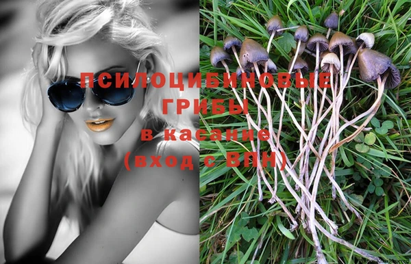 PSILOCYBIN Горнозаводск