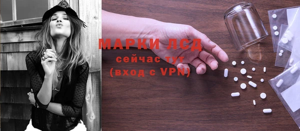 PSILOCYBIN Горнозаводск