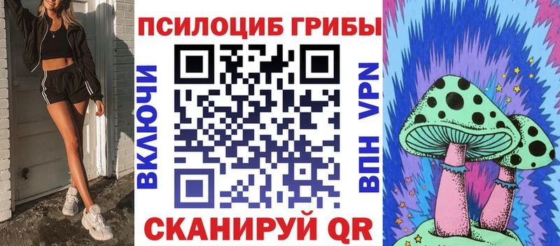 Галлюциногенные грибы Psilocybine cubensis  Купить  Нариманов 